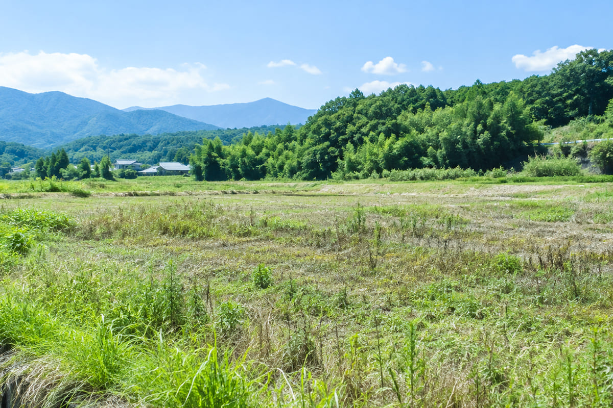 農地法の許可・届出(農地転用)